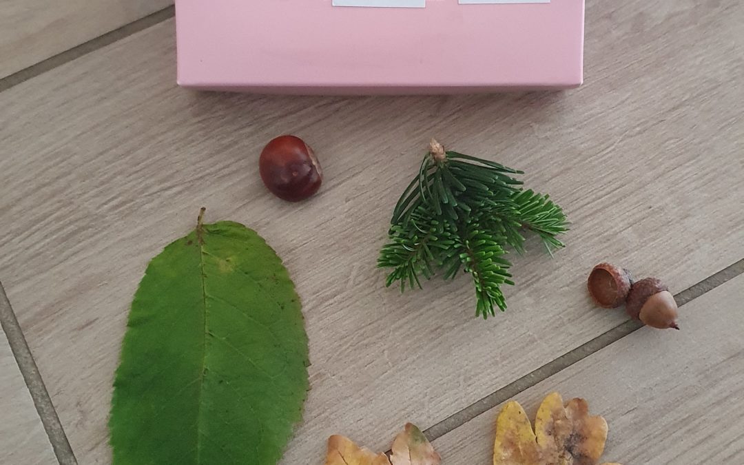Chasse au trésor sur l’automne